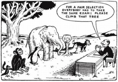 for-a-fair-selection-everybody-has-to-take-the-same-exam-please-climb-that-tree